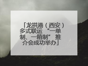 龙拱港（西安）多式联运 “一单制、一箱制” 推介会成功举办