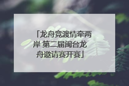 龙舟竞渡情牵两岸 第二届闽台龙舟邀请赛开赛