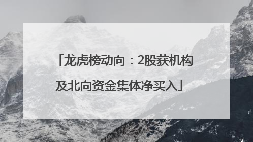 龙虎榜动向：2股获机构及北向资金集体净买入