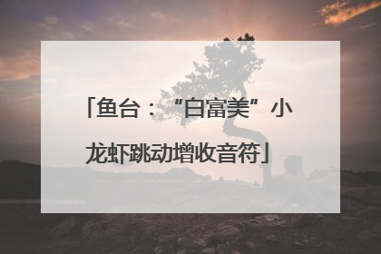 鱼台：“白富美”小龙虾跳动增收音符