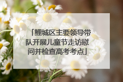 鲤城区主要领导带队开展儿童节走访慰问并检查高考考点