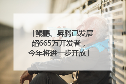 鲲鹏、昇腾已发展超665万开发者，今年将进一步开放