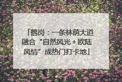 鹤岗:一条林荫大道融合“自然风光+欧陆风情”成热门打卡地