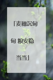 麦穗沉甸甸 粮安稳当当