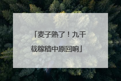 麦子熟了！九千载稼穑中原回响
