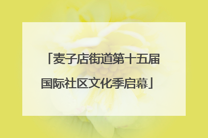 麦子店街道第十五届国际社区文化季启幕