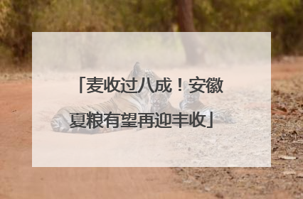 麦收过八成！安徽夏粮有望再迎丰收
