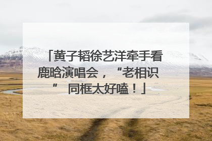 黄子韬徐艺洋牵手看鹿晗演唱会，“老相识” 同框太好嗑！