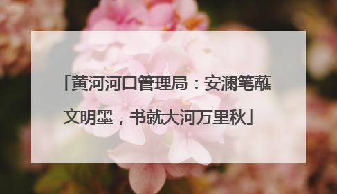 黄河河口管理局：安澜笔蘸文明墨，书就大河万里秋