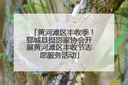 黄河滩区丰收季！郓城县摄影家协会开展黄河滩区丰收节志愿服务活动