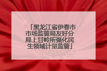 黑龙江省伊春市市场监管局友好分局上甘岭所强化民生领域计量监管