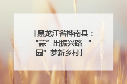 黑龙江省桦南县：“蒜”出振兴路 “园”梦新乡村