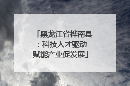 黑龙江省桦南县：科技人才驱动 赋能产业促发展