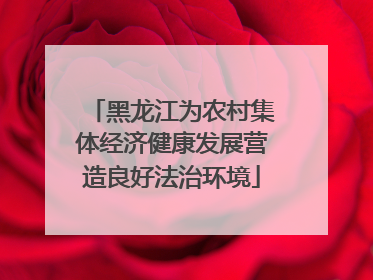 黑龙江为农村集体经济健康发展营造良好法治环境
