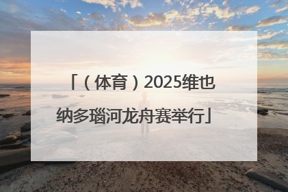 （体育）2025维也纳多瑙河龙舟赛举行