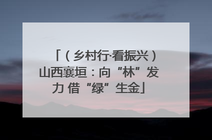 （乡村行·看振兴）山西襄垣：向“林”发力 借“绿”生金