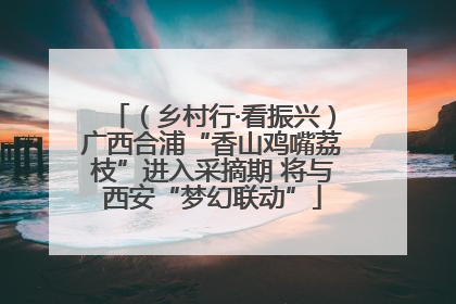 （乡村行·看振兴）广西合浦“香山鸡嘴荔枝”进入采摘期 将与西安“梦幻联动”