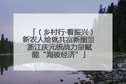 (乡村行·看振兴)新农人绘就共富新图景 浙江庆元统战力量赋能“海拔经济”