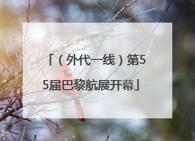 （外代一线）第55届巴黎航展开幕
