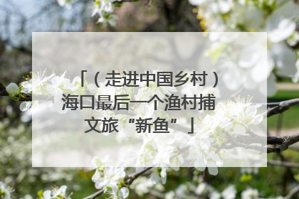 （走进中国乡村）海口最后一个渔村捕文旅“新鱼”