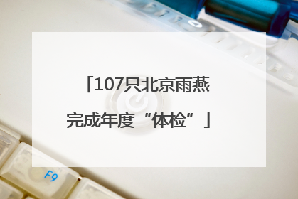 107只北京雨燕完成年度“体检”