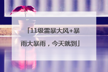 11级雷暴大风+暴雨大暴雨，今天就到