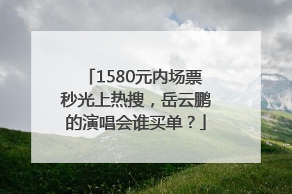 1580元内场票秒光上热搜，岳云鹏的演唱会谁买单？
