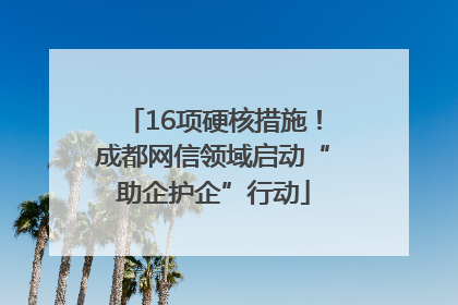 16项硬核措施！成都网信领域启动“助企护企”行动