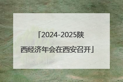 2024-2025陕西经济年会在西安召开