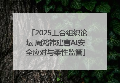 2025上合组织论坛 周鸿祎建言AI安全应对与柔性监管