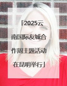 2025云南国际友城合作周主题活动在昆明举行