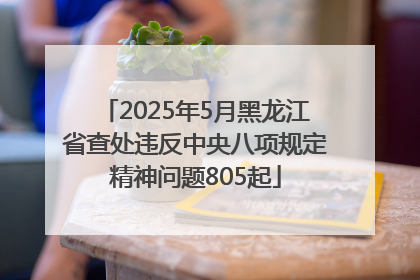 2025年5月黑龙江省查处违反中央八项规定精神问题805起