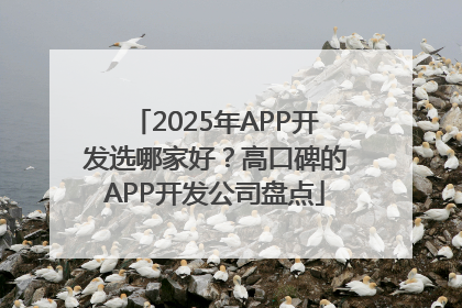 2025年APP开发选哪家好？高口碑的APP开发公司盘点