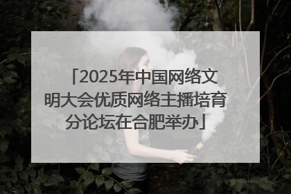 2025年中国网络文明大会优质网络主播培育分论坛在合肥举办