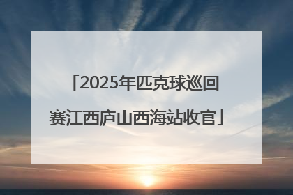 2025年匹克球巡回赛江西庐山西海站收官