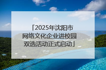 2025年沈阳市网络文化企业进校园双选活动正式启动