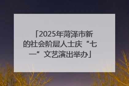 2025年菏泽市新的社会阶层人士庆“七一”文艺演出举办