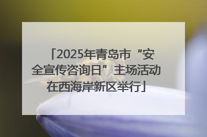 2025年青岛市“安全宣传咨询日”主场活动在西海岸新区举行