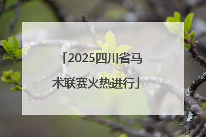 2025四川省马术联赛火热进行