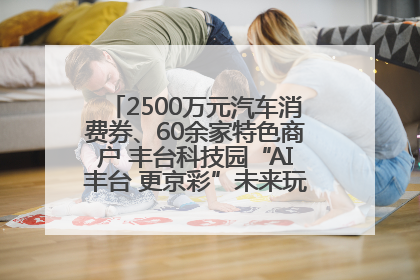 2500万元汽车消费券、60余家特色商户 丰台科技园“AI丰台 更京彩”未来玩家市集活动正式开幕