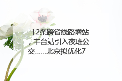 2条跨省线路增站，丰台站引入夜班公交……北京拟优化7条公交线！