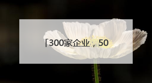 300家企业，500个展位 2025郑州跨境电商大会开幕