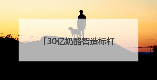 30亿奶酪智造标杆基地+全品类全渠道解决方案，伊利专业乳品何以成为 2025 焙烤展 MV