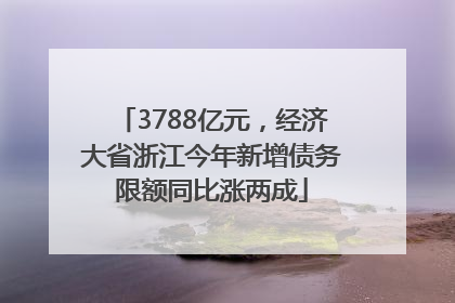 3788亿元，经济大省浙江今年新增债务限额同比涨两成