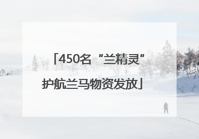 450名“兰精灵”护航兰马物资发放