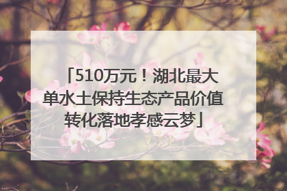 510万元！湖北最大单水土保持生态产品价值转化落地孝感云梦