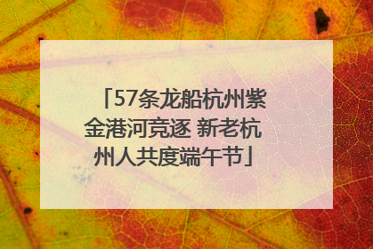 57条龙船杭州紫金港河竞逐 新老杭州人共度端午节