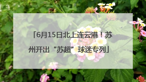6月15日北上连云港！苏州开出“苏超”球迷专列