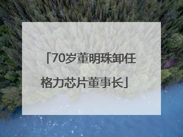 70岁董明珠卸任格力芯片董事长
