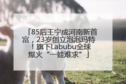 85后王宁成河南新首富，23岁创立泡泡玛特！旗下Labubu全球爆火“一娃难求”